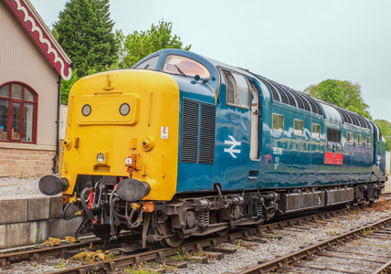 55019 Royal Highland Fusilier b.jpg